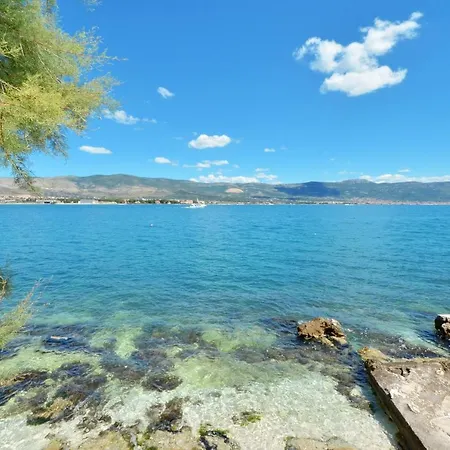 D Large With Big Terrace Next To The